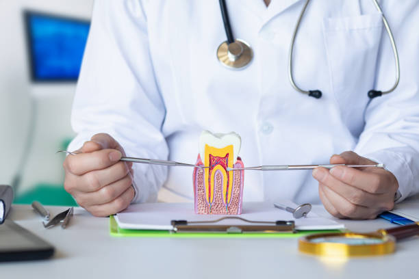 Best Emergency Root Canal Treatment in Sultana, CA